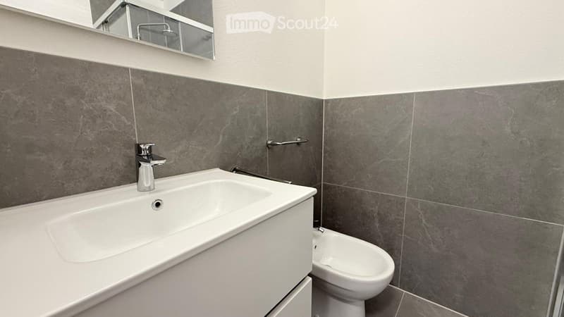1.5 modern rooms in Coldrerio (3)