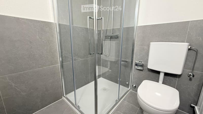 1.5 modern rooms in Coldrerio (4)