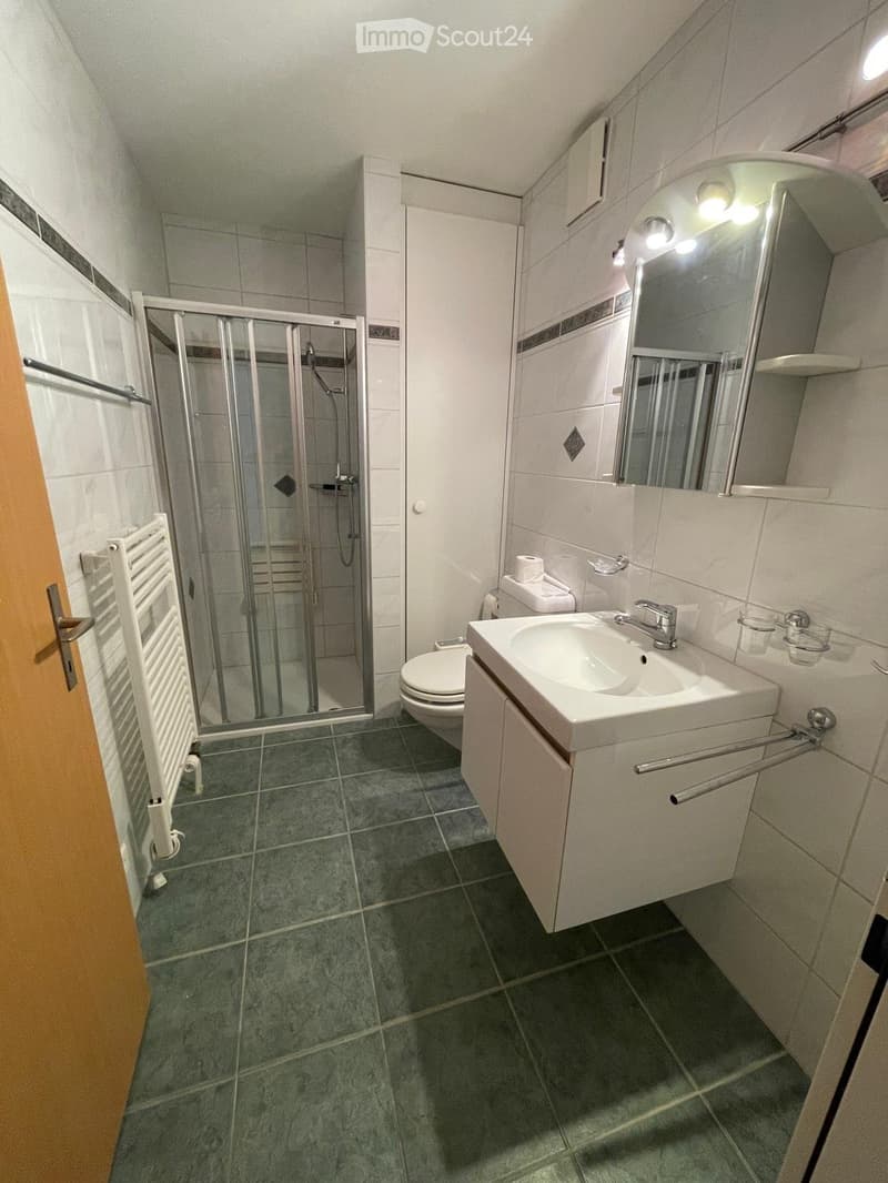 Helle 4.5 Zimmerwohnung mit grosser Terrasse an bester Lage (3)