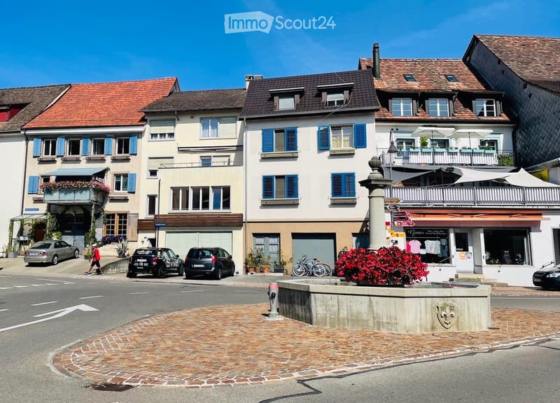 Small but fine in the middle of Hallau with terrace (1)