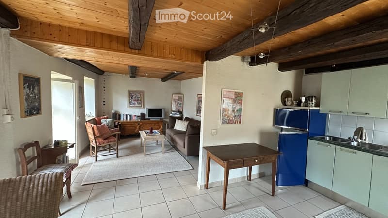 Ticino house with two renovated apartments (3)