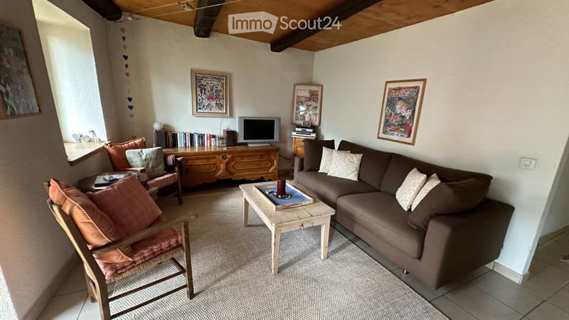 Ticino house with two renovated apartments (2)