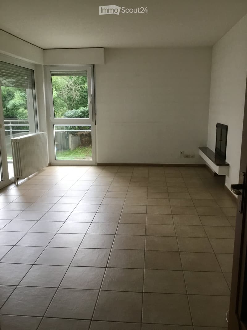 Vendo 3.5 Locale 50mt centro Paradiso con Piscina, a Reddito (2)