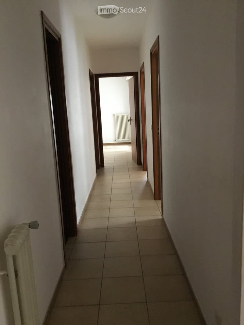 Vendo 3.5 Locale 50mt centro Paradiso con Piscina, a Reddito (4)