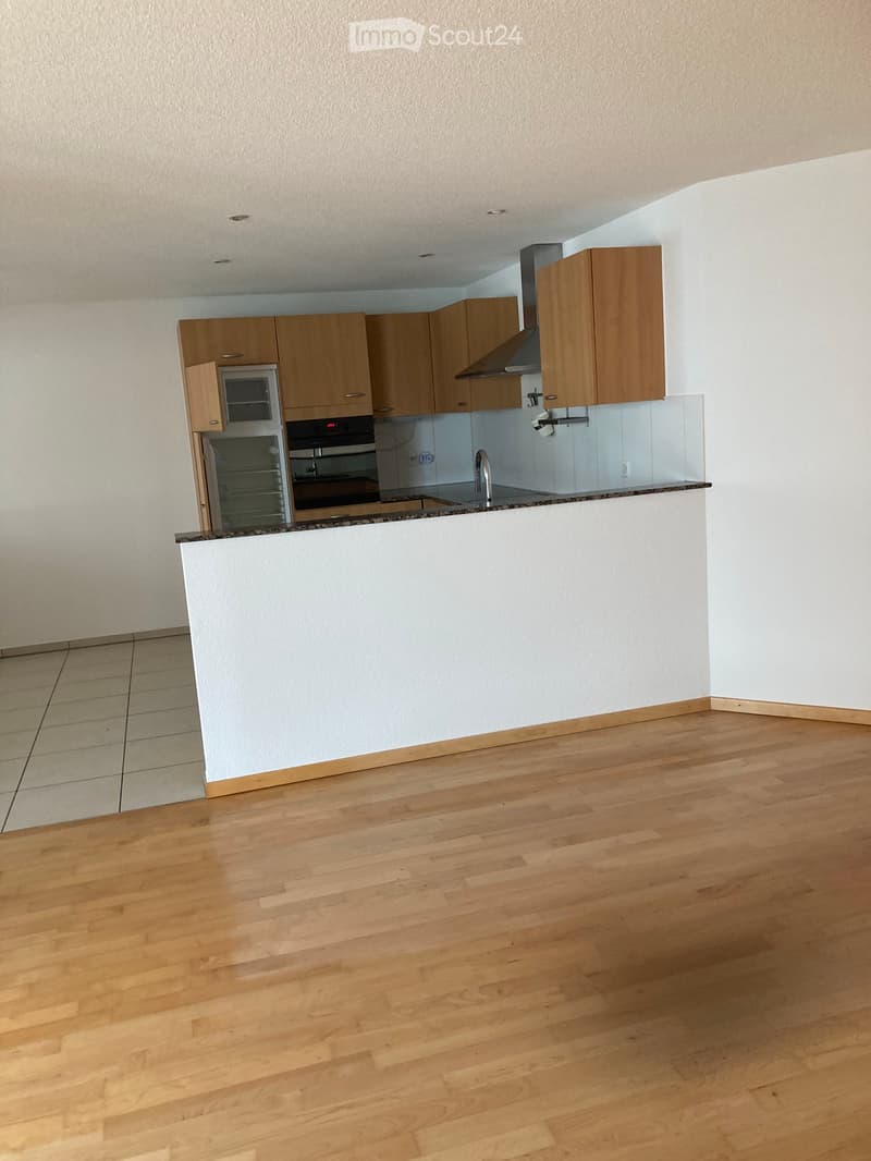 Appartement 3.5 pièces avec cuisine ouverte grand balcon 25 m2 (2)