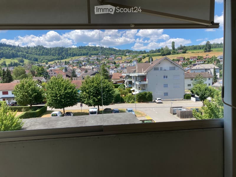 Appartement 3.5 pièces avec cuisine ouverte grand balcon 25 m2 (1)