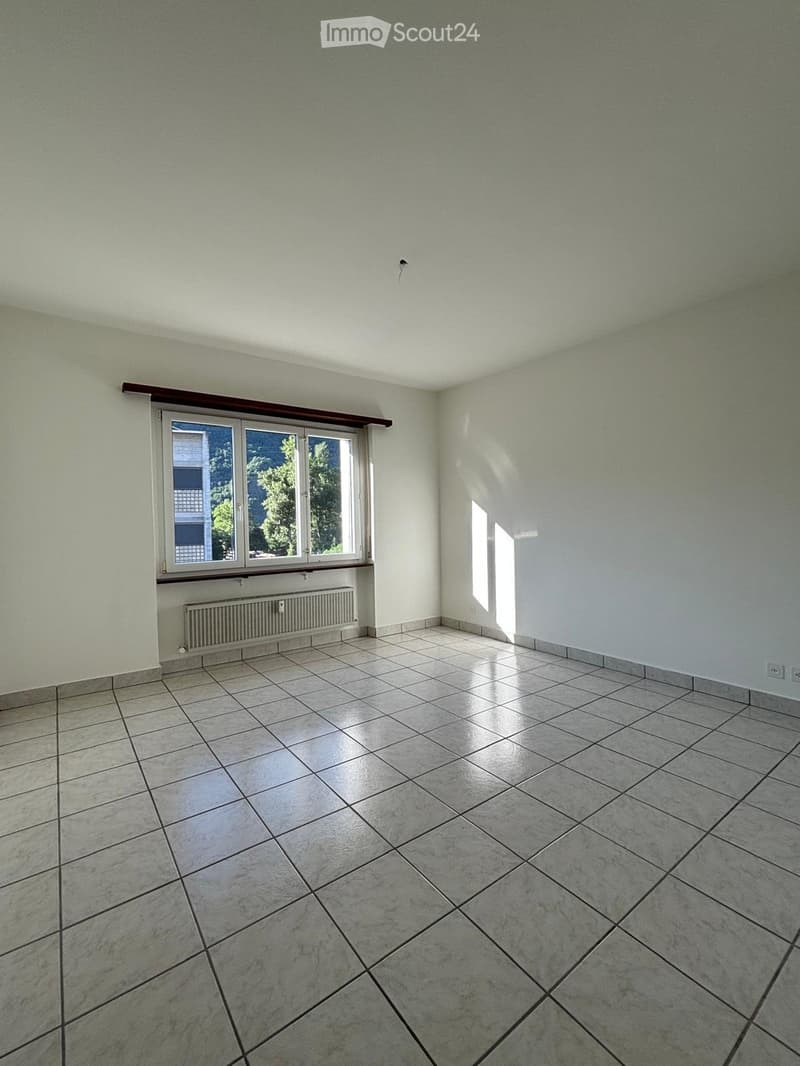 Affittasi ampio 4.5 locali ad Arbedo con balcone (12)