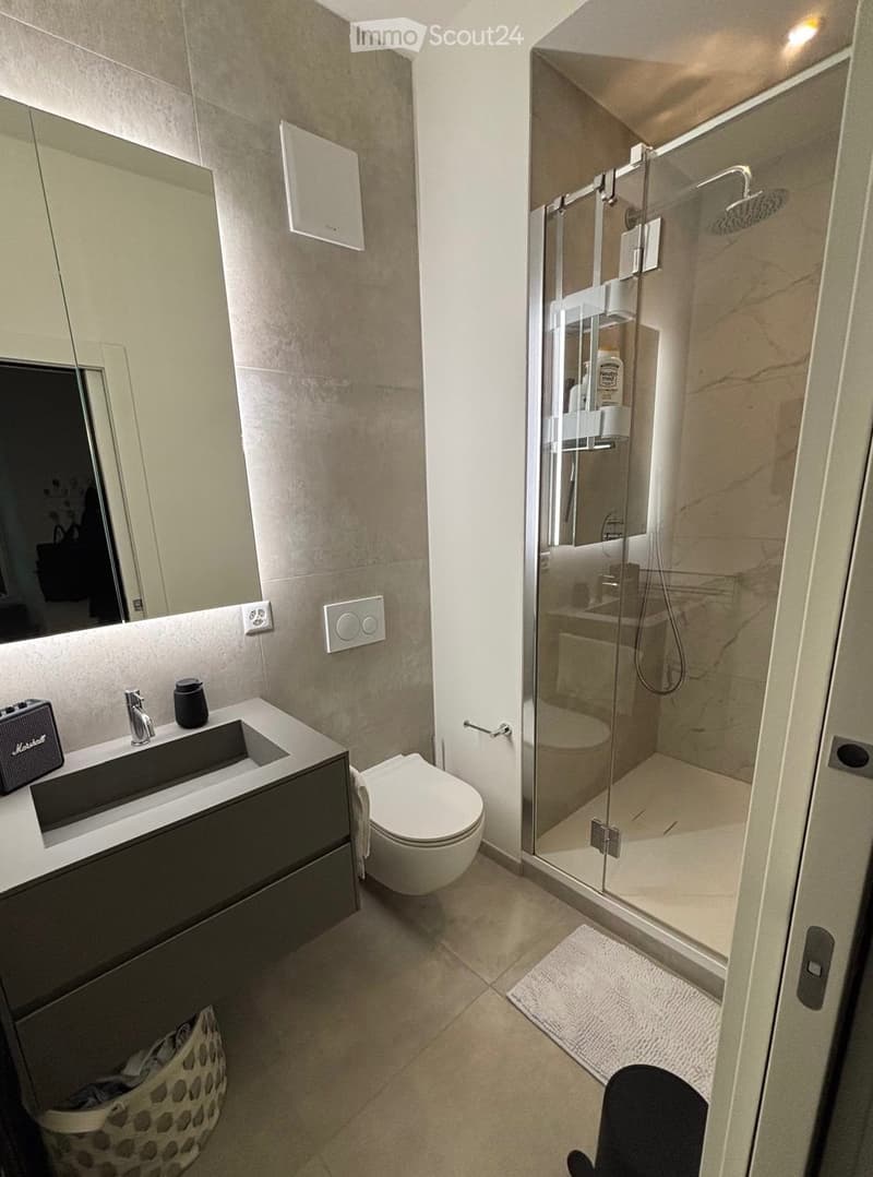 3.5-room apartment in the center of Lugano, available immediately (3)