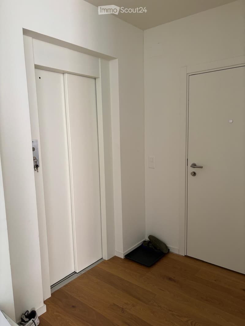 3.5-room apartment in the center of Lugano, available immediately (4)