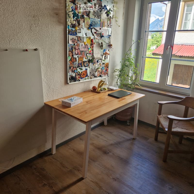 WOHNUNG 4 1/2 ZI. 580.- (3)