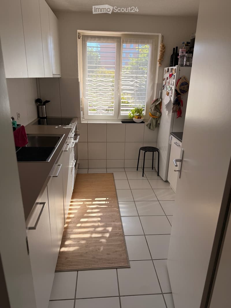 Sunny and Quiet 4.5 Room Apartment (4)