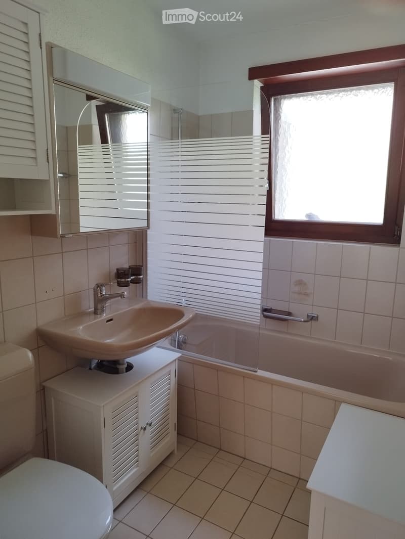 2.5-Zimmer-Wohnung mit Terrasse (2)