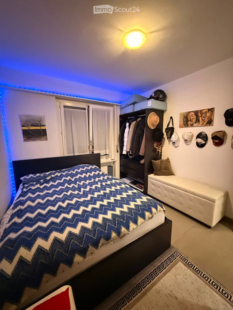 2.5 room furnished apartment (2)