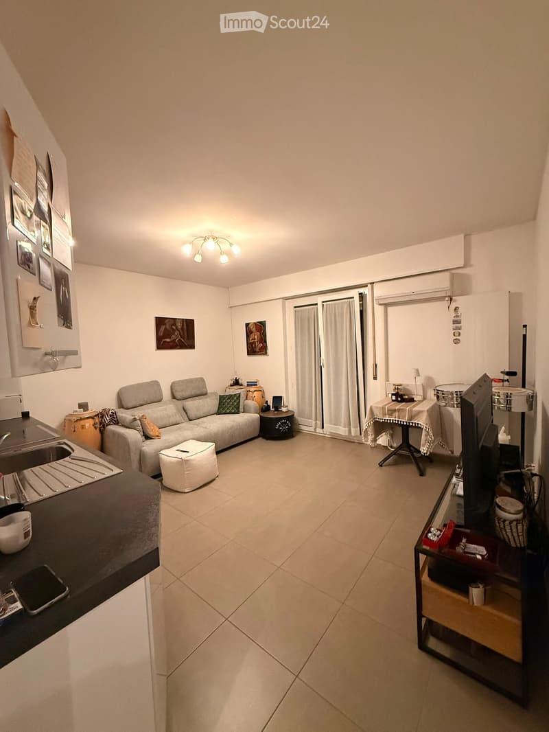 2.5 room furnished apartment (1)