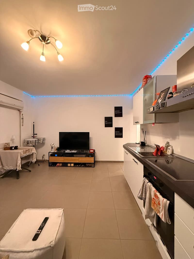 2.5 room furnished apartment (3)