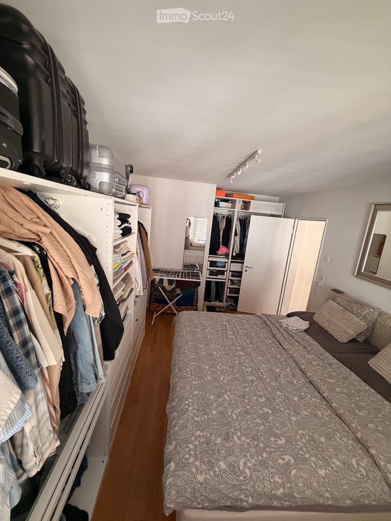 Moderne 2,5 Zimmerwohnung (3)