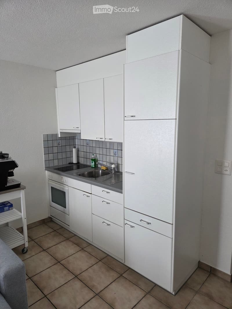 1-Zimmer Wohnung mit Gartensitzplatz (4)