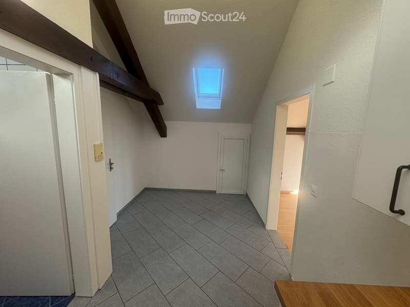 1.5 room attic apartment (3)