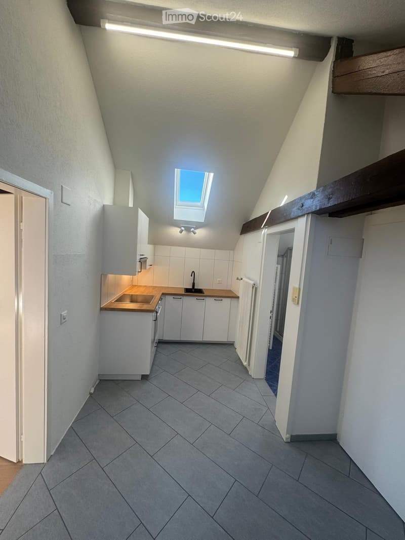 1.5 room attic apartment (2)