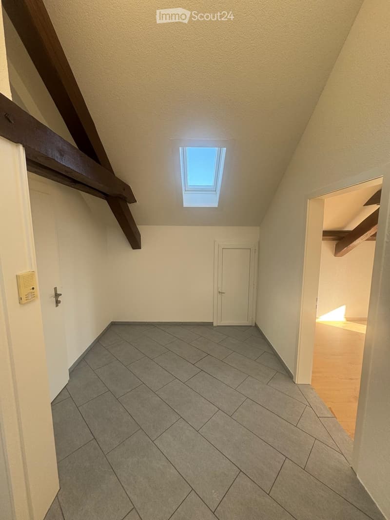 1.5 room attic apartment (1)