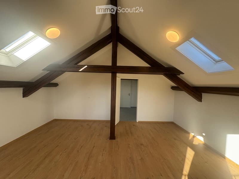 1.5 room attic apartment (5)