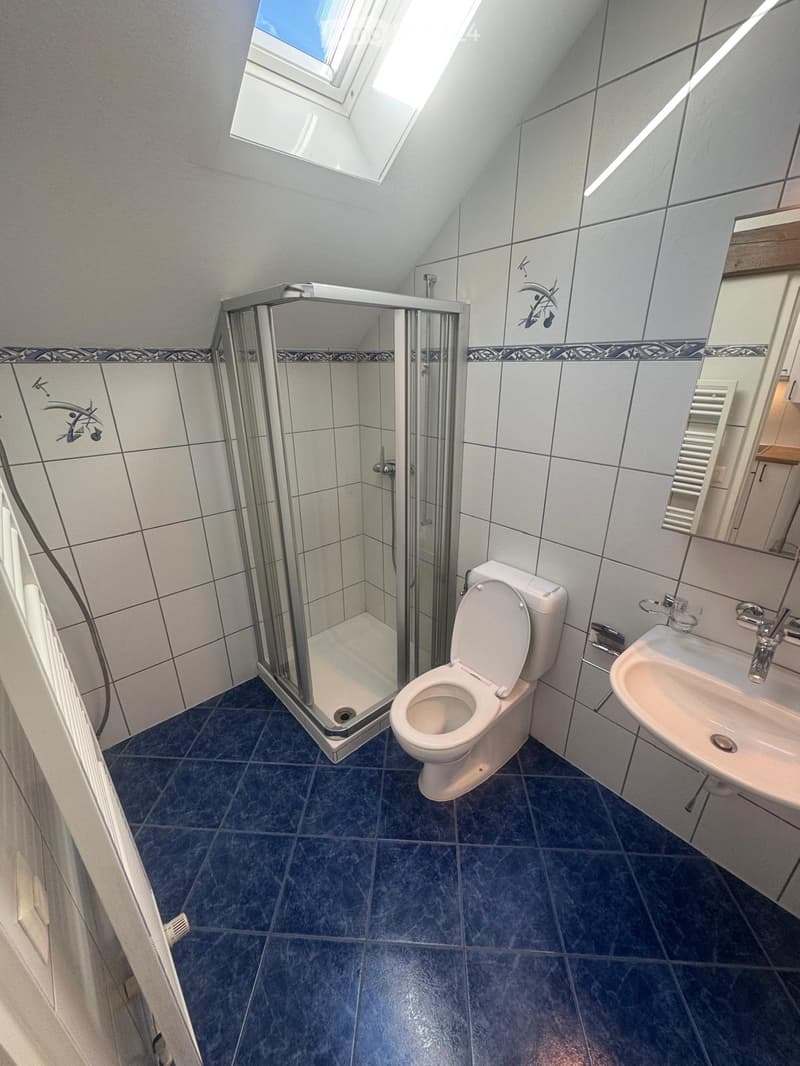 1.5 room attic apartment (4)