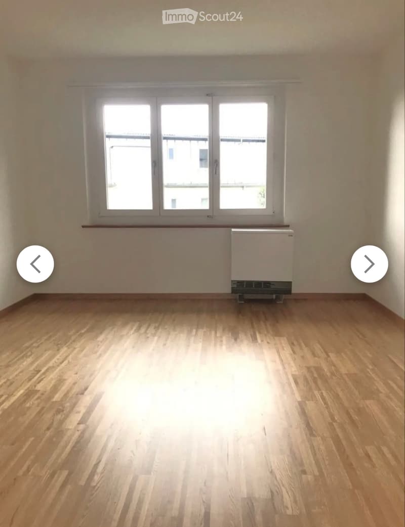 Tenant wanted for 4-room apartment in Solothurn (4)