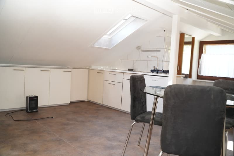 Möblierte 1 Zimmer - Dachgeschoss - Wohnung in ruhiger Lage. (1)
