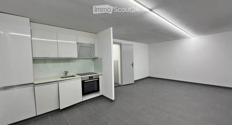 1 Schlafzimmer 1Badezimmer Mietwohnung immediately available (1)