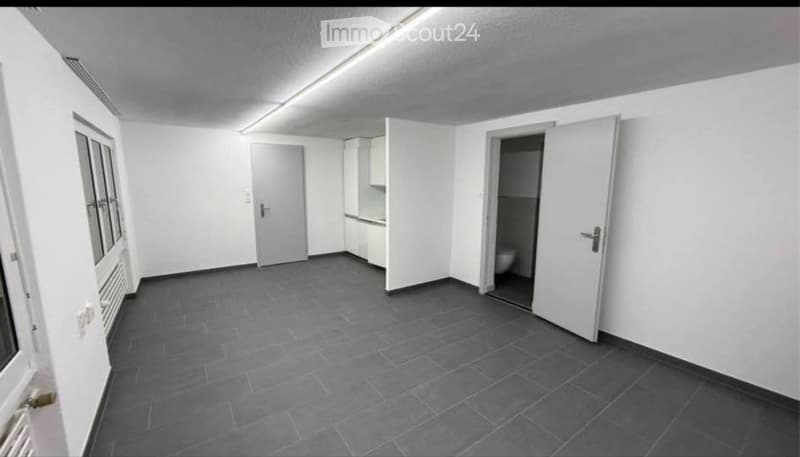 1 Schlafzimmer 1Badezimmer Mietwohnung immediately available (5)