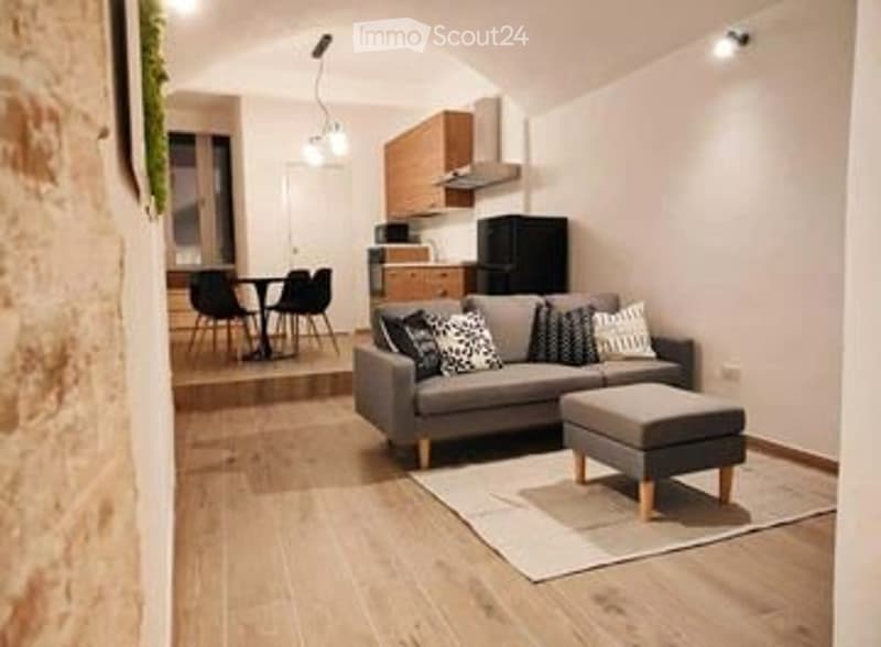 schone hause (3)