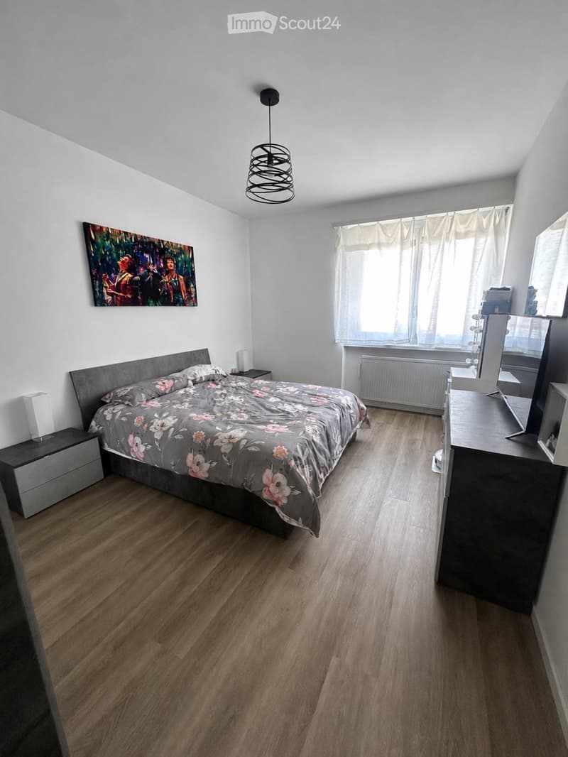 Subvention 4.5 in Monte Carasso (3)