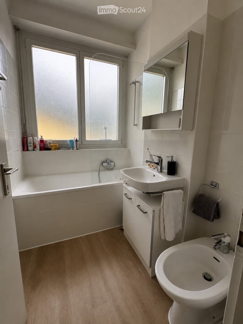 Subvention 4.5 in Monte Carasso (5)