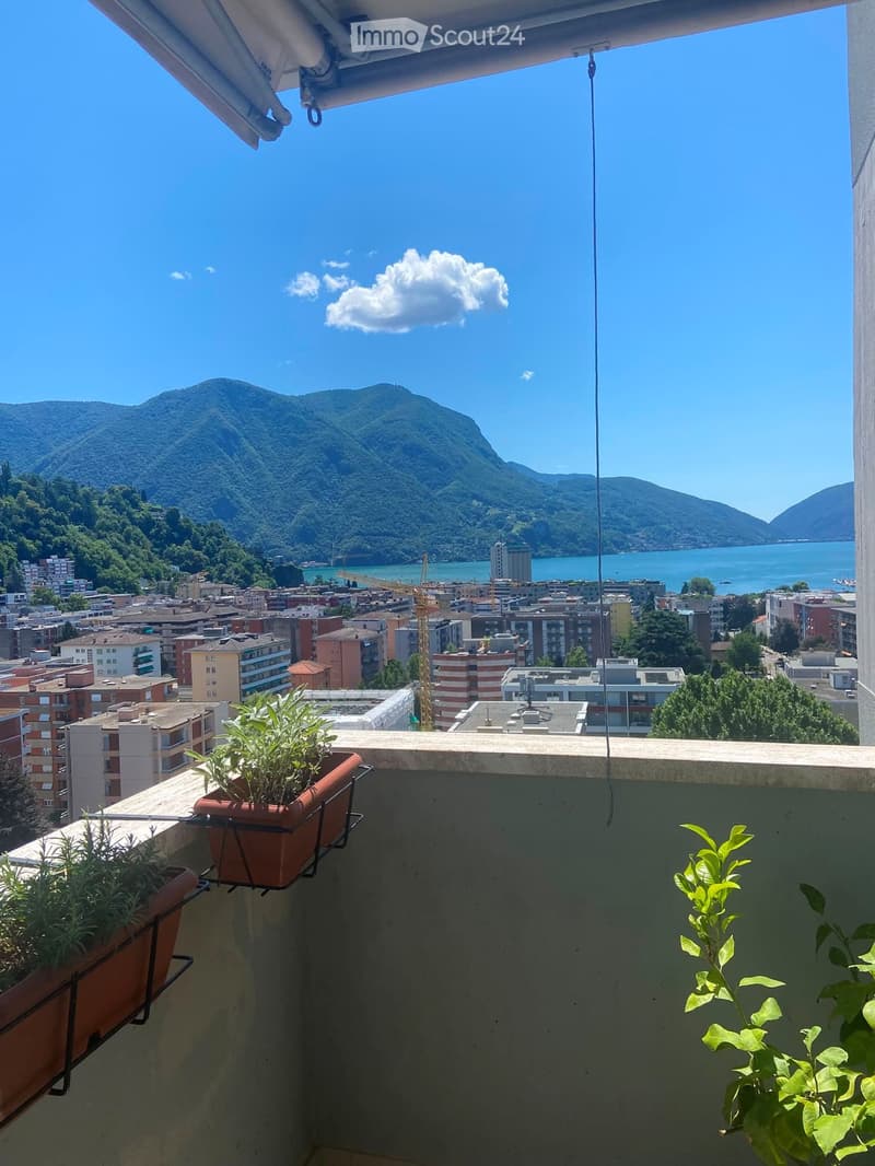 VIGANELLO PRÄCHTIGES 2.5 ZIMMER SEEBLICK (alles inklusive) (4)