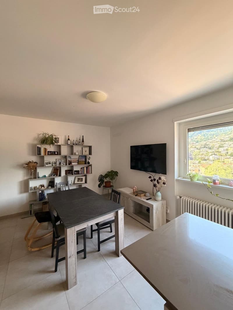 VIGANELLO PRÄCHTIGES 2.5 ZIMMER SEEBLICK (alles inklusive) (3)