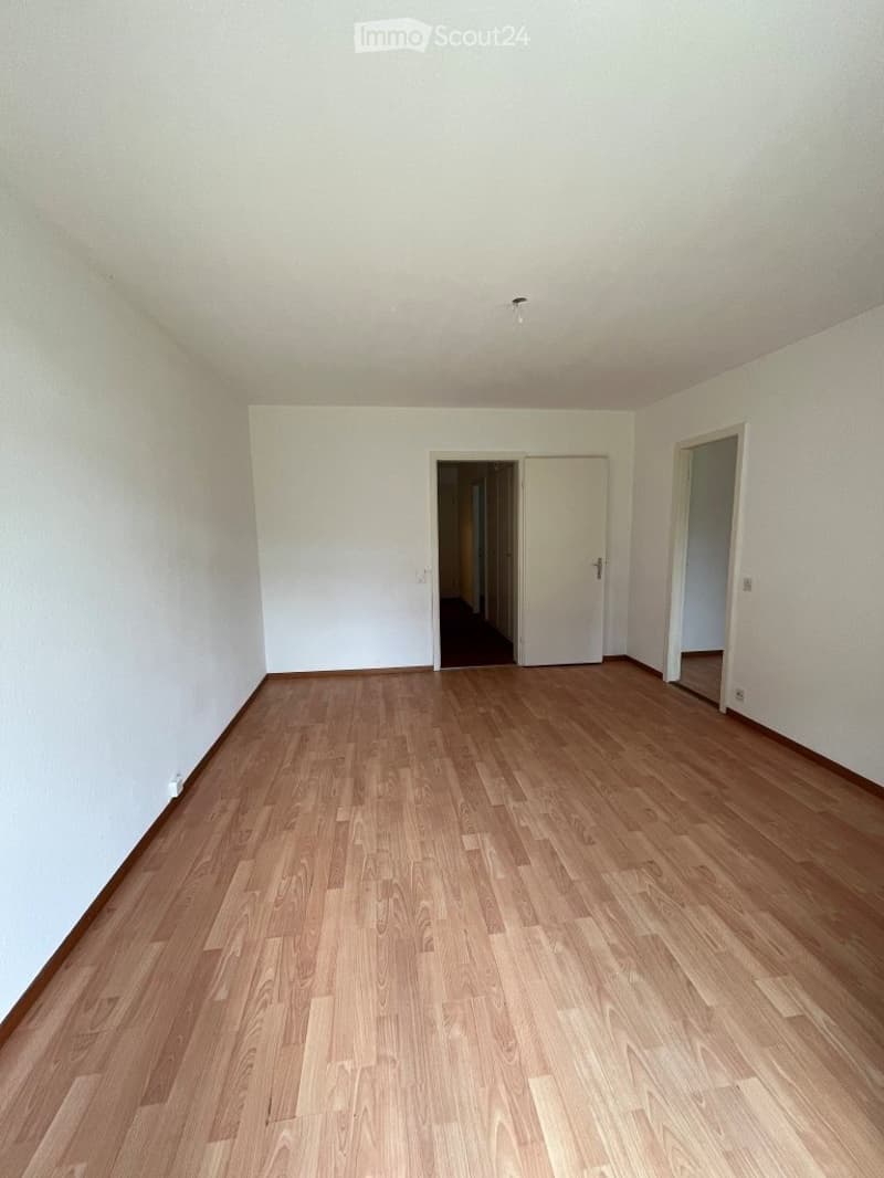 Small but fine 3-room apartment in Aarau (5)
