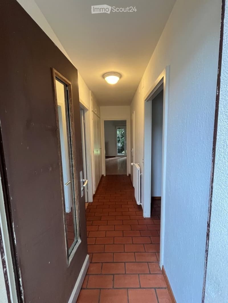 Small but fine 3-room apartment in Aarau (2)