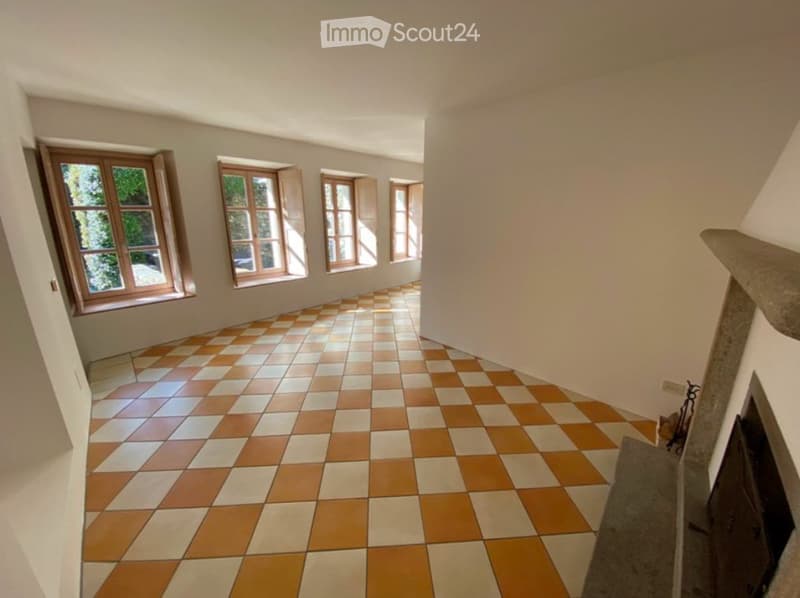 Charmante Tessiner 2.5 Zimmer Wohnung (Erstwohnsitz) (1)