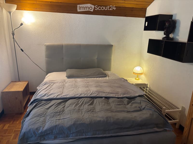 Zimmer für nicht rauchende Studenten in Einfamilienhaus (1)