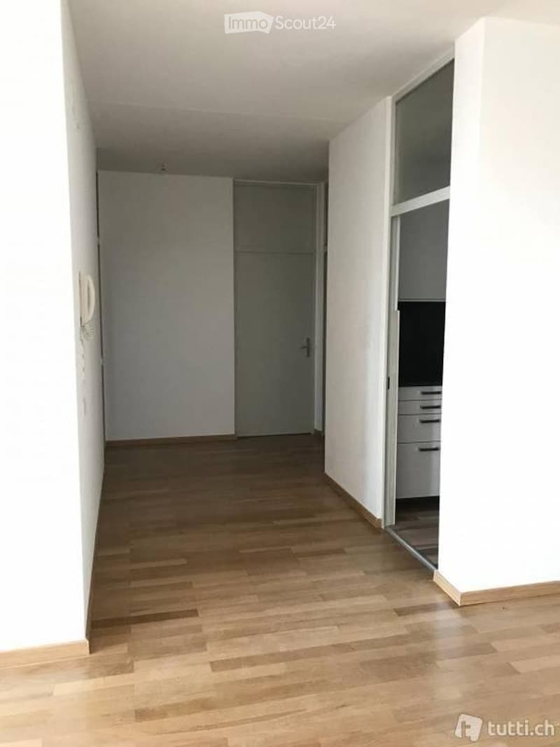 Recently renovated apartment - Ravecchia area, Bellinzona (1)