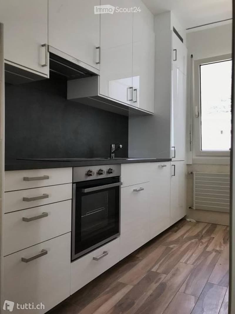 Recently renovated apartment - Ravecchia area, Bellinzona (4)