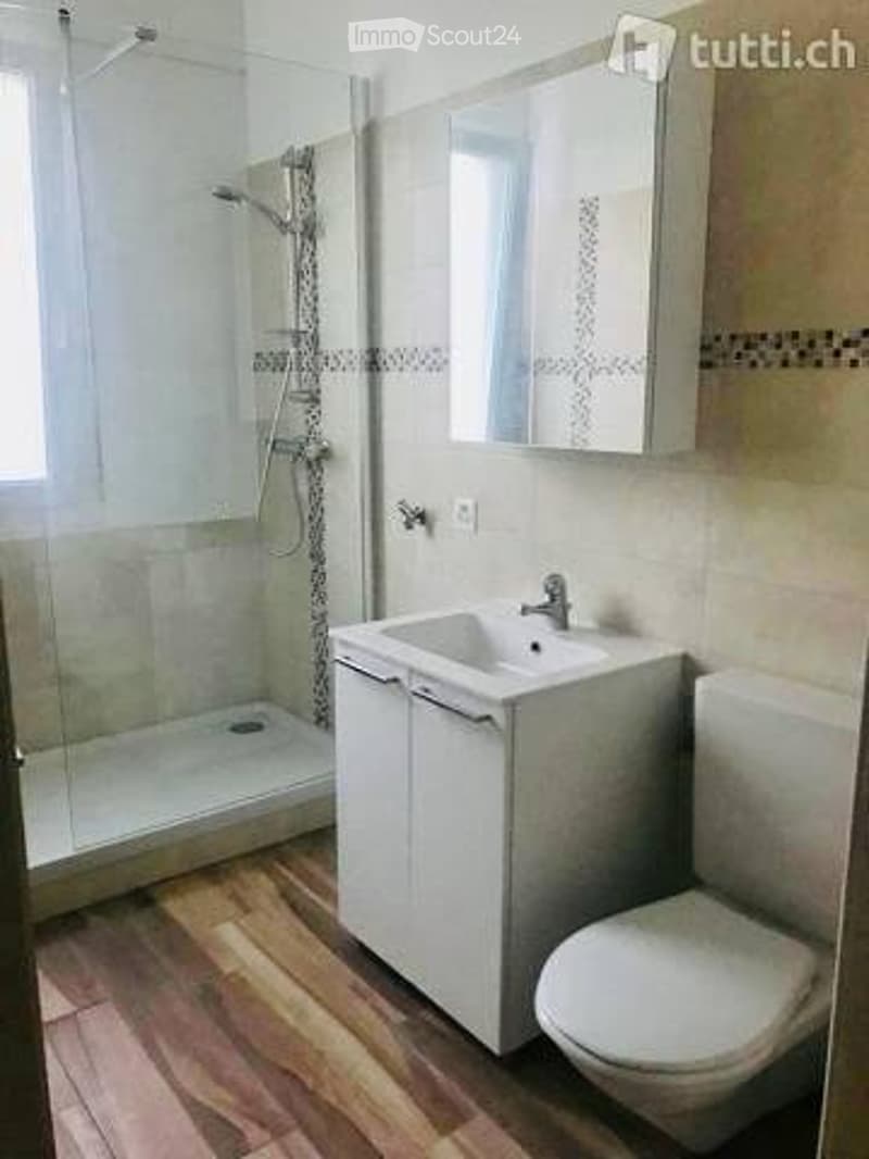Recently renovated apartment - Ravecchia area, Bellinzona (2)