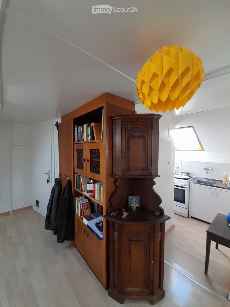 zu vermieten ruhige und helle 1.5 Zimmer Dachwohnung (1)