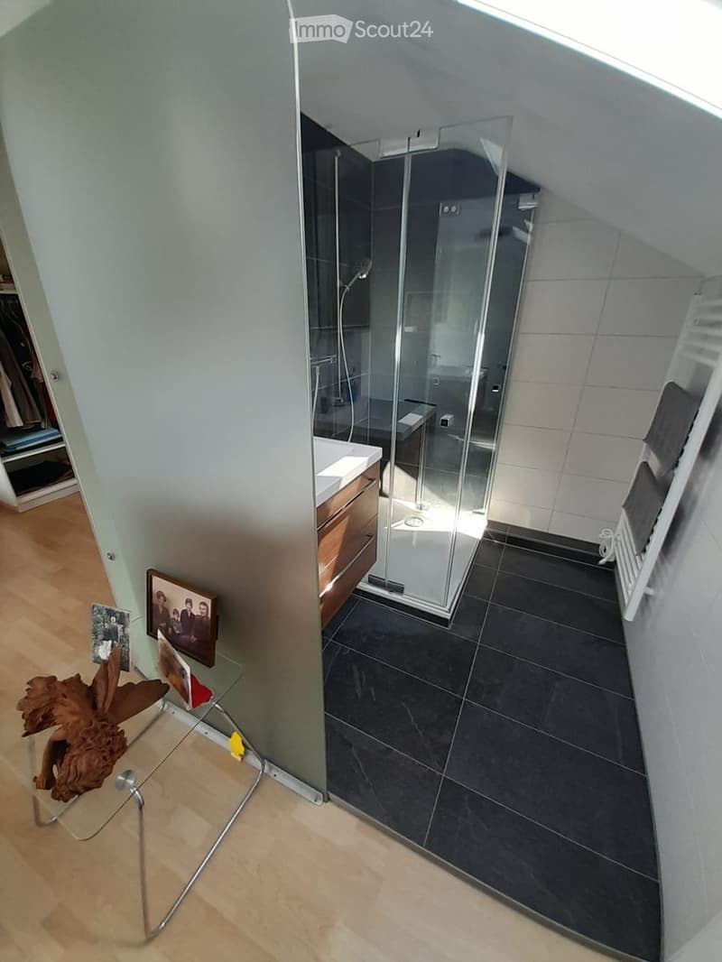 zu vermieten ruhige und helle 1.5 Zimmer Dachwohnung (2)