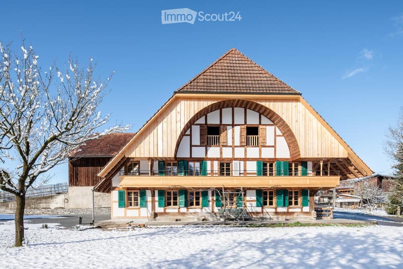 Schöne 3.5-Zi-Wohnung im 1. Stock (1)