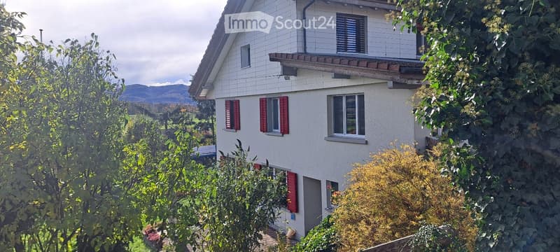 Charmante 1.5-Zimmer-Wohnung in Böztal ab sofort. (4)