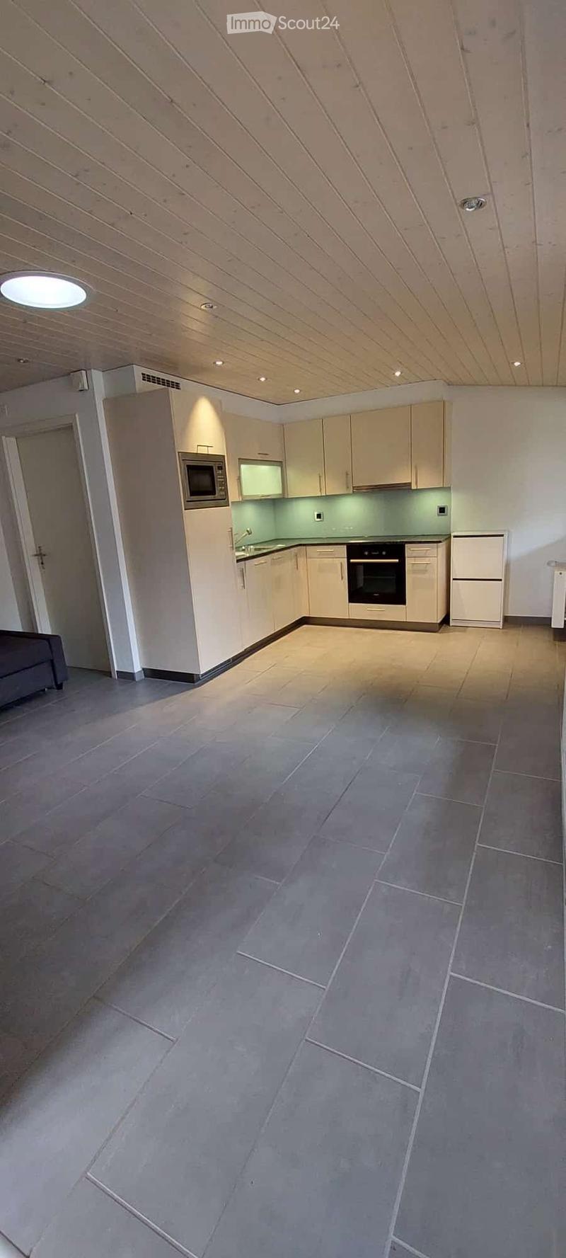 Charmante 1.5-Zimmer-Wohnung in Böztal ab sofort. (3)