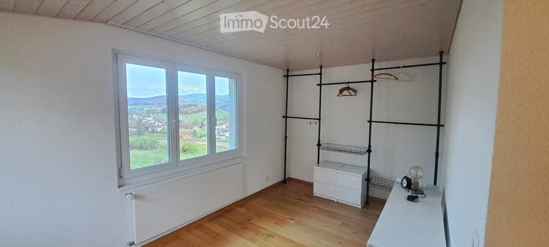 Charmante 1.5-Zimmer-Wohnung in Böztal ab sofort. (1)