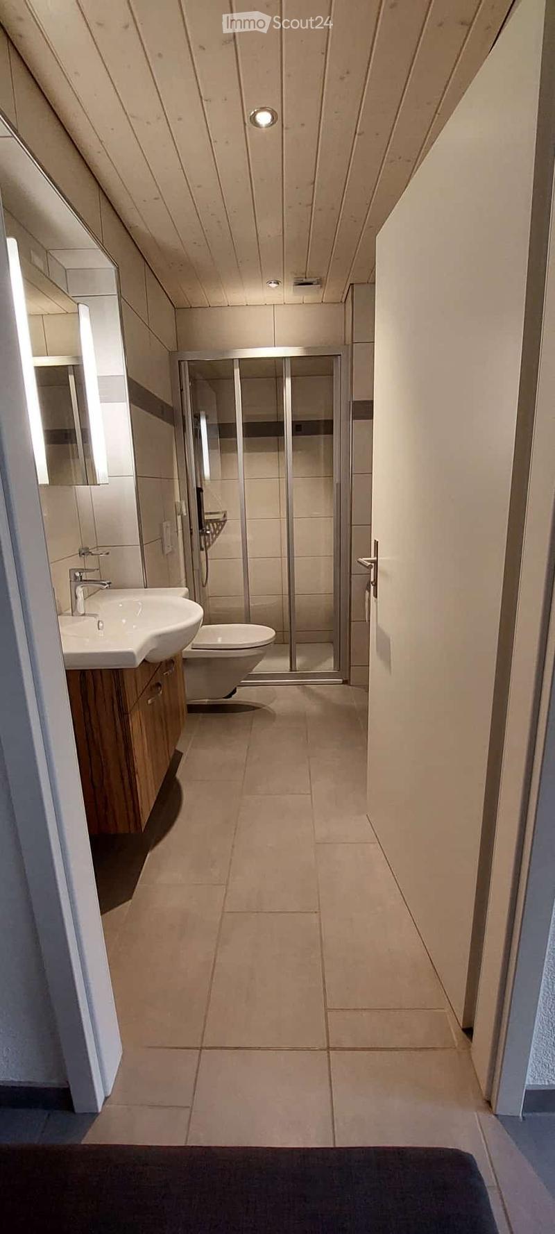 Charmante 1.5-Zimmer-Wohnung in Böztal ab sofort. (5)
