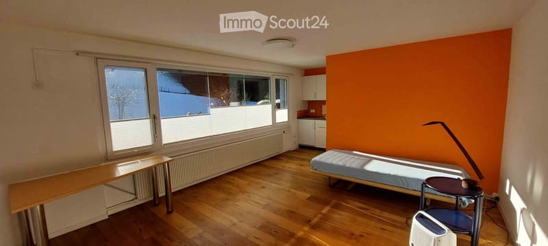 4 1/2-Zimmerwohnung und separates Studio in Zweifamilienhaus (13)